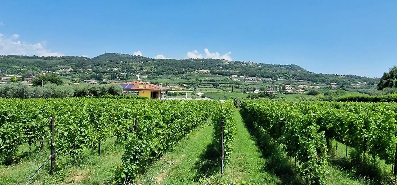 Apartment Appartamenti A Bardolino Italy
