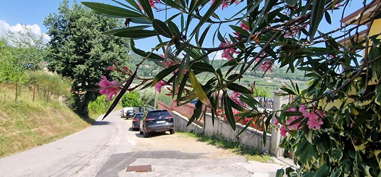 Apartment Appartamenti A Bardolino
